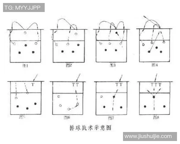北京排球队的战术节奏分析与未来发展趋势探讨